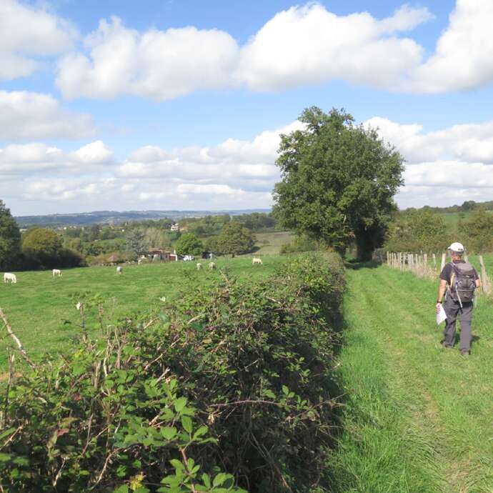 Paroles Paysannes entre plaine et bocage