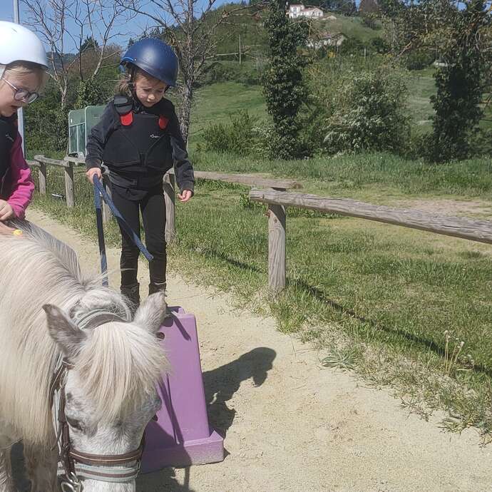 Atelier découverte du poney - enfants Atelier découverte du poney - enfants