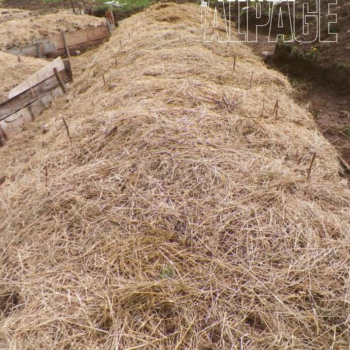 Festival de l'Alpage : Visite de la ferme des Soldanelles
