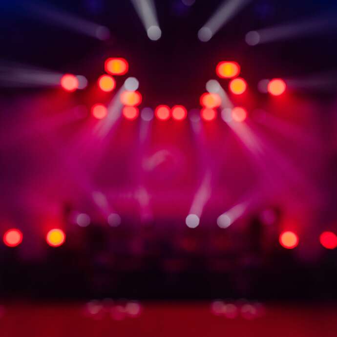 Concert - Let's Goldman