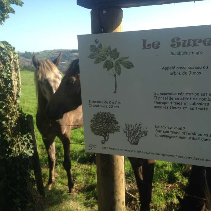 Sentier botanique