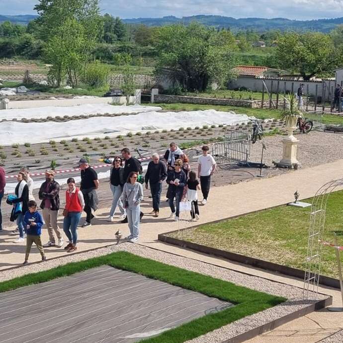 Verveine du Forez - De ferme en ferme