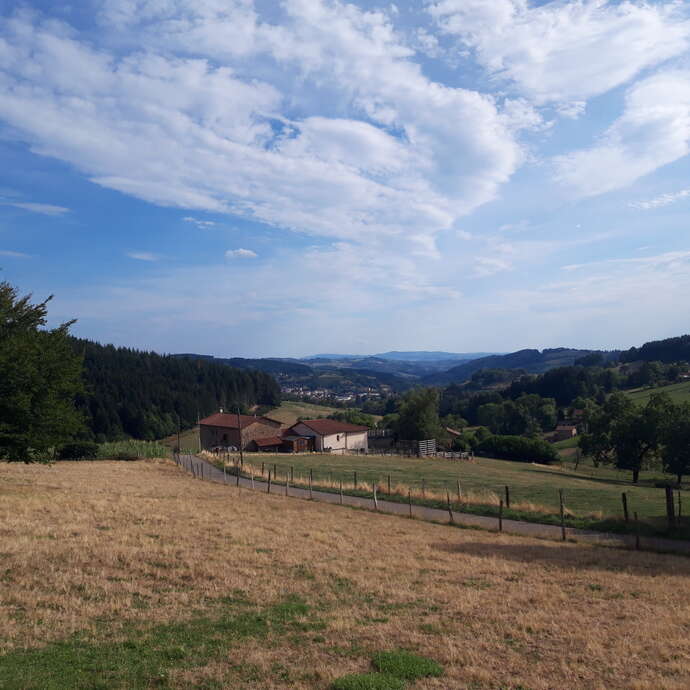 Balade entre Monts et Forêts - PR 10