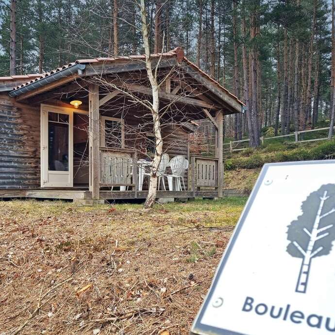Bouleau