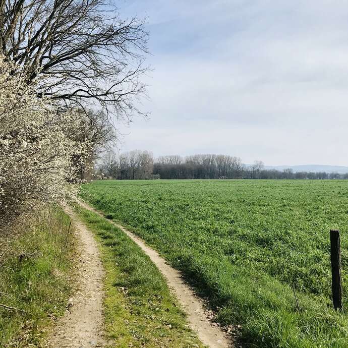 Sentier L'Île