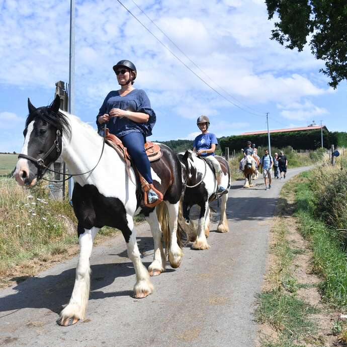 Balades à cheval et Médiation