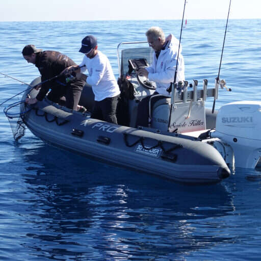 Suzuki Master Fishing - Pêche