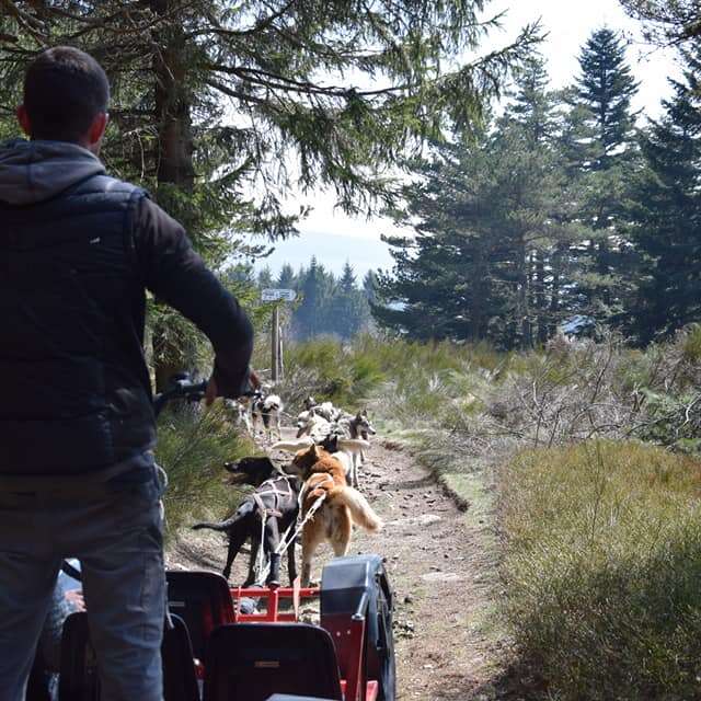 Nom d'un chien - Cani-kart et cani-balade