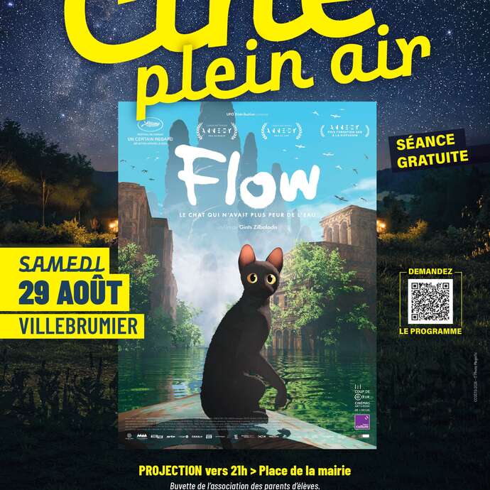Ciné Plein Air /"Flow"