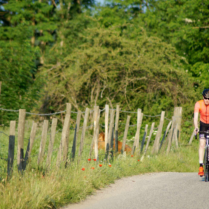 Boucle cyclable F1 : rendez-vous au château à vélo : Saint-Jodard / Château de la Roche