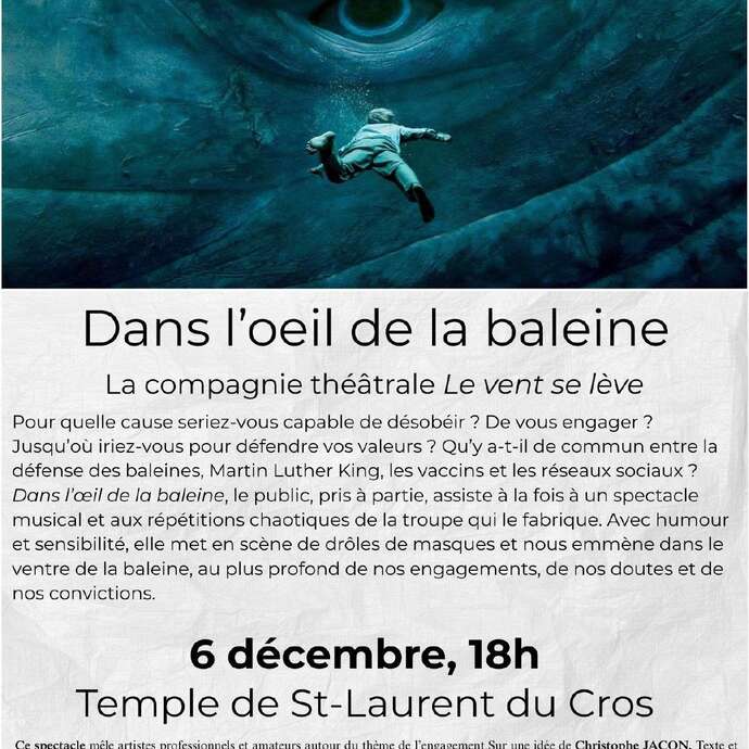 Dans l'œil de la baleine