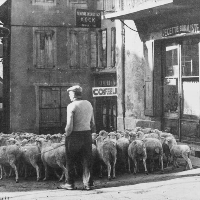 Visite guidée du circuit Vivian Maier de Saint-Bonnet