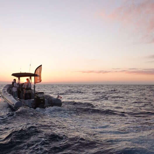 Suzuki Master Fishing - Fishing