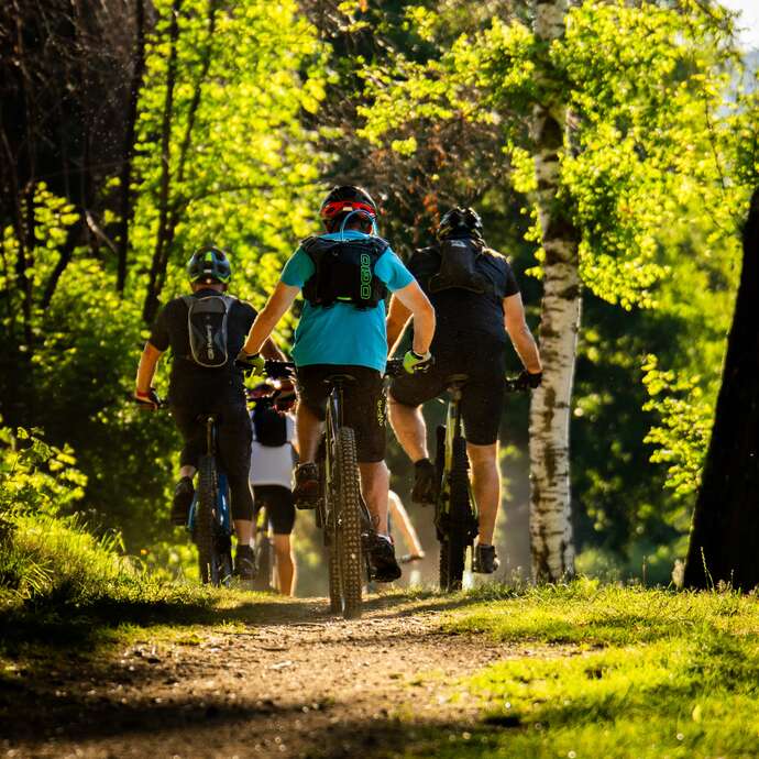 N°8 - Des Haras aux étangs - Espace VTT Montbrison - Monts du Forez