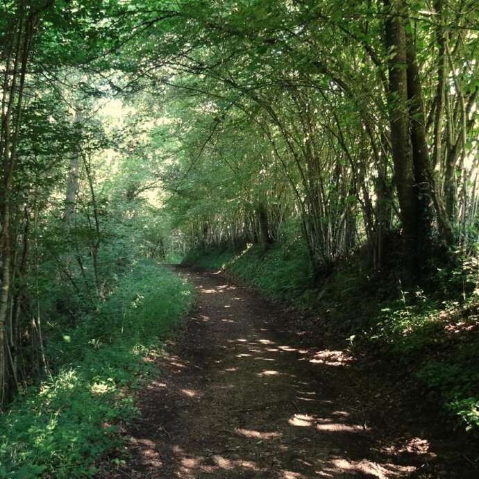 Le sentier des blés - B12
