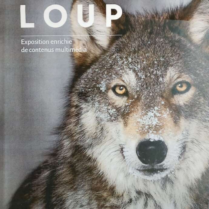 Exposition "Sur la piste du loup"