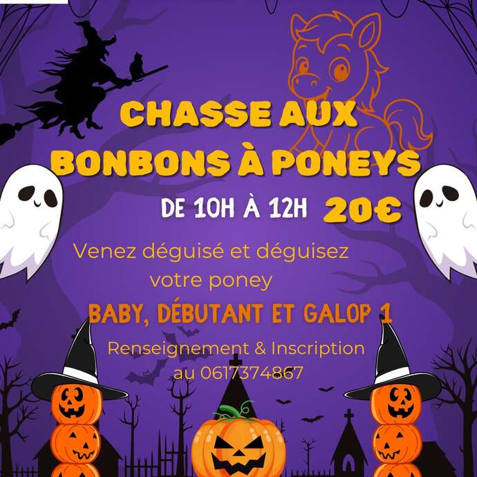 Chasse aux bonbons en poney