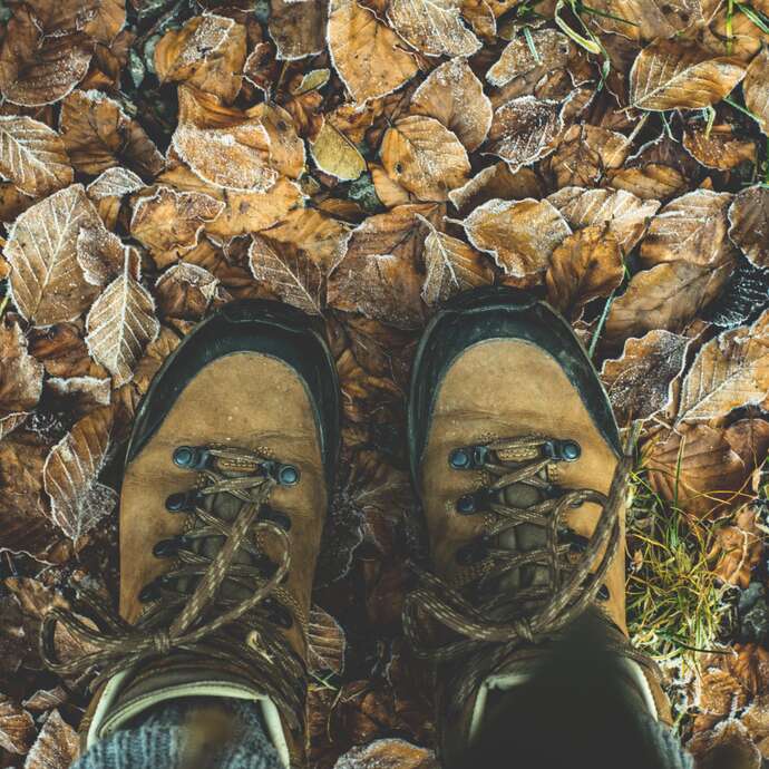 Marche des Moulins et Randonnée VTT