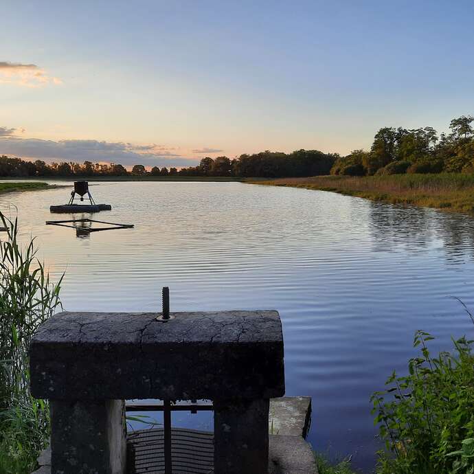 Visit to a pond at Coopépoisson