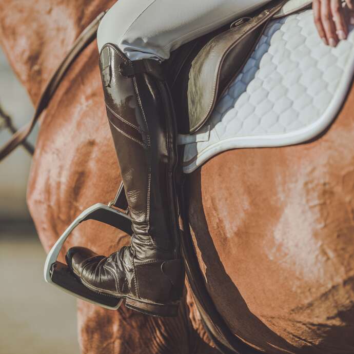 Domaine équestre de Boise