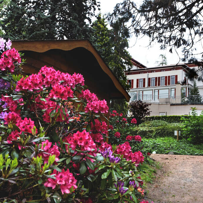 Parc municipal - Saint-Galmier