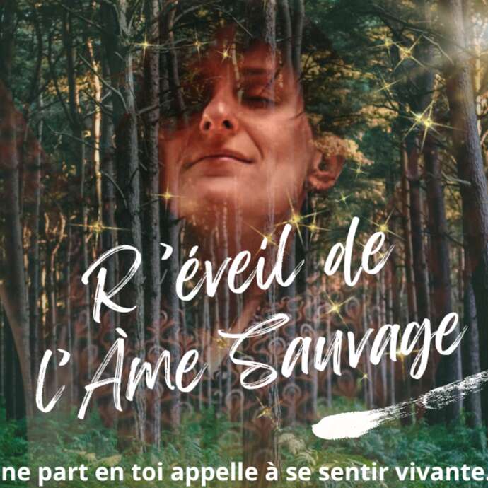 Stage Réveil de l'Ame Sauvage