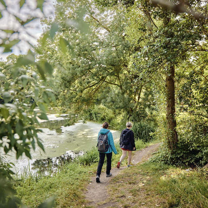 Entre bois et bocage