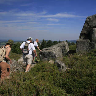 Sorties nature thématiques