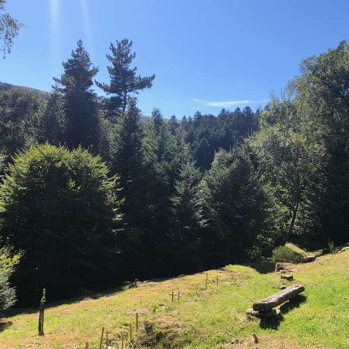 Triplex au pied des pistes