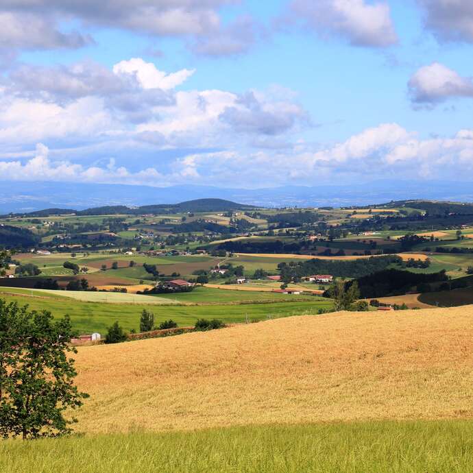 Sentier du But de Samson