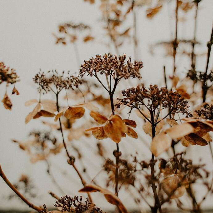Atelier art floral ado/adulte - L'âme d'automne
