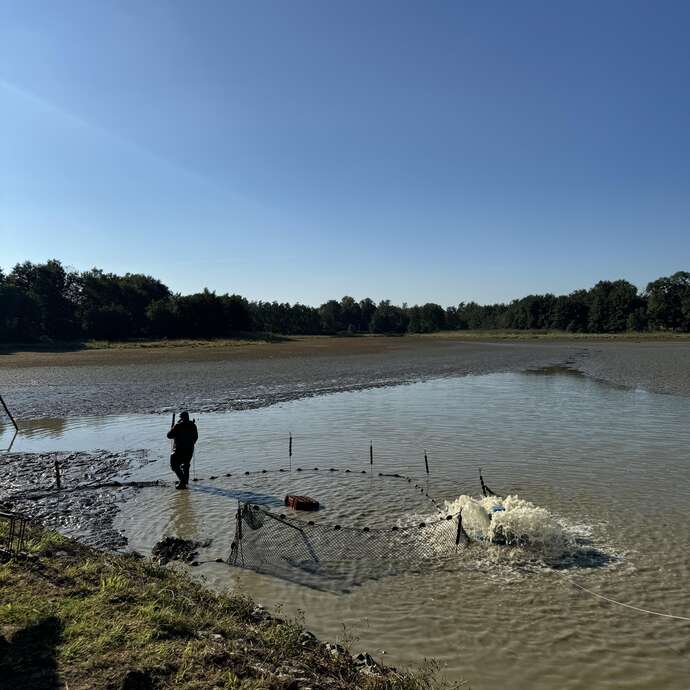 Journées Poissons de Dombes