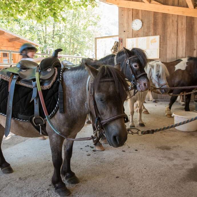 Poney Club