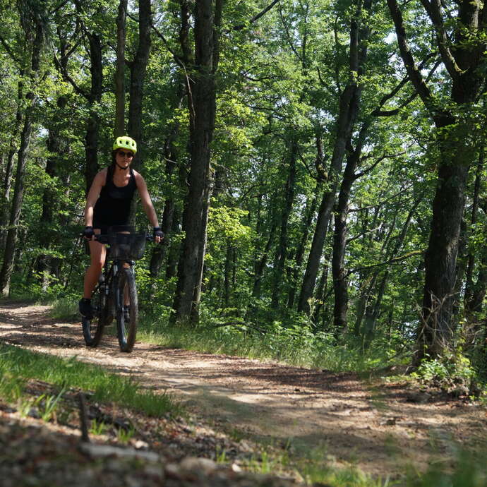 N°25 Le bourg fleuri