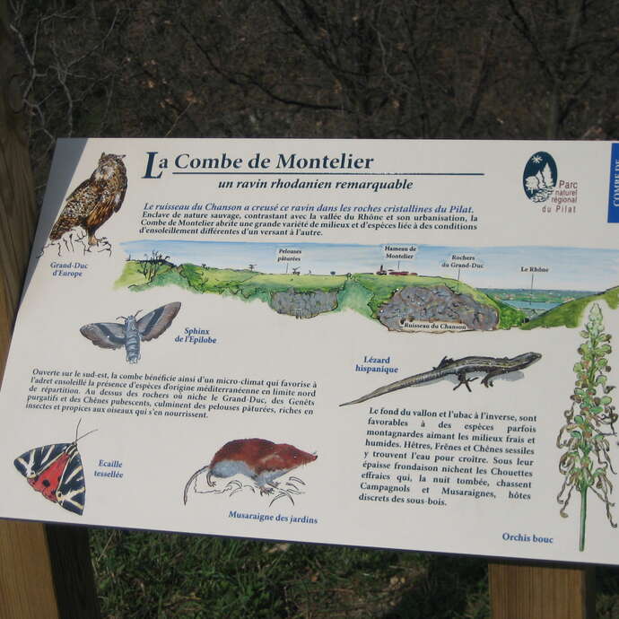 Observatoire de la Combe du Montélier