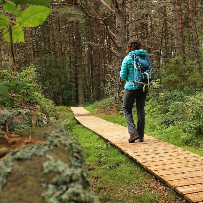 Sentier historique et botanique - "Sentier du Marais"
