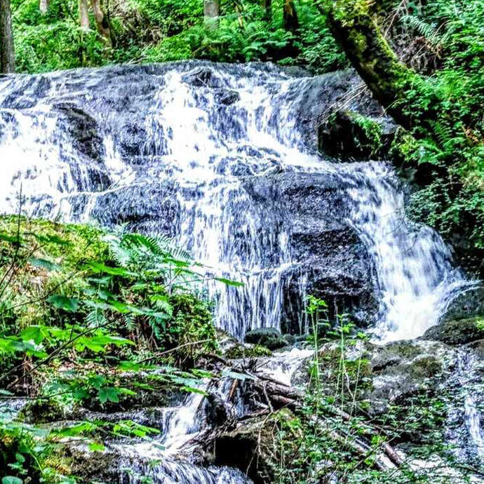 Cascades de la Trézaillette