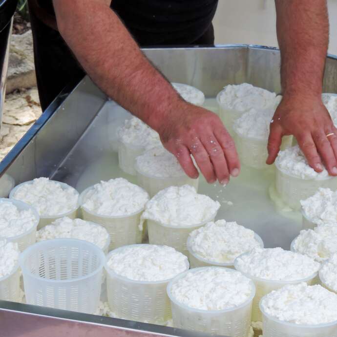 Ferme de la Voie Lactée