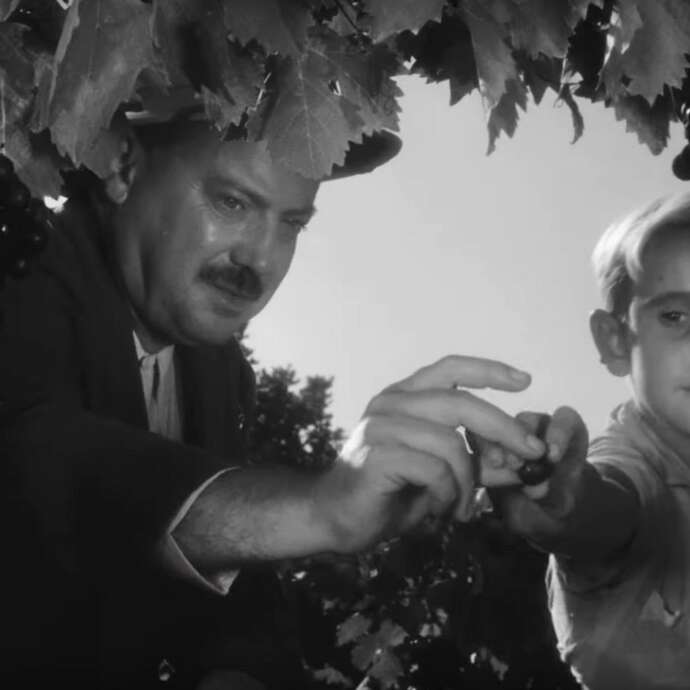 Projection - Les oliviers de la justice