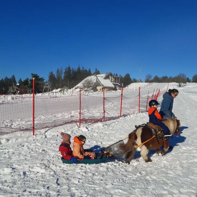 Luge Joëring