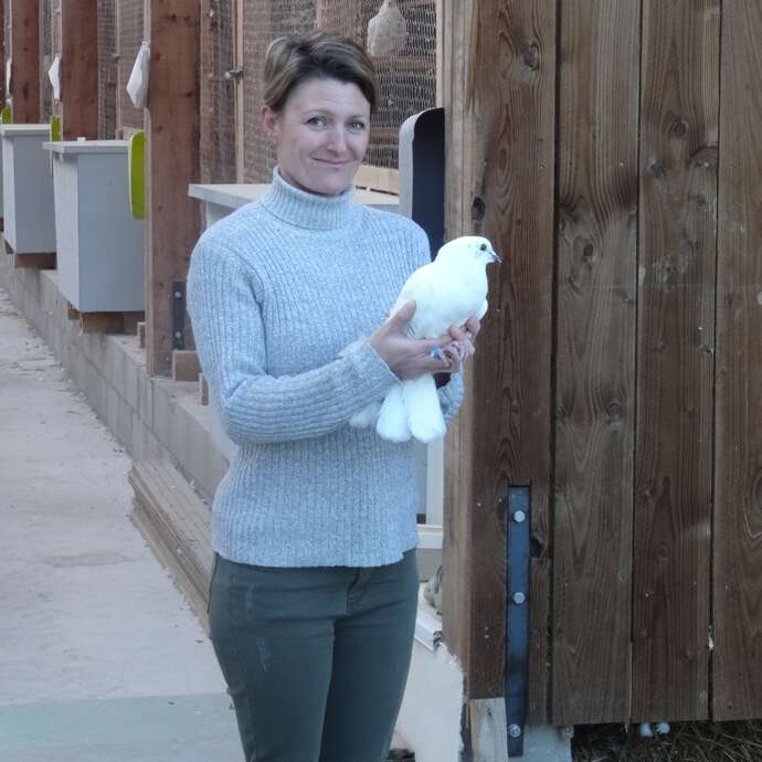 Le pigeonnier d'Urfé