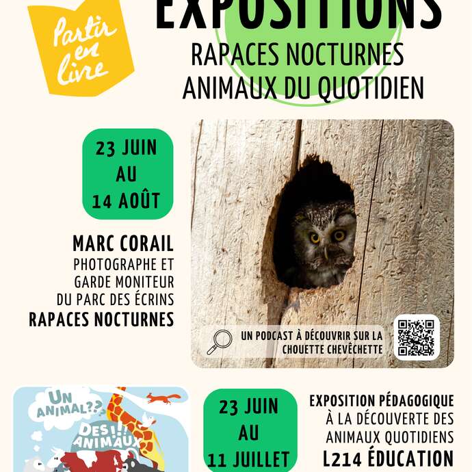 Exposition Rapaces Nocturnes et animaux du quotidien