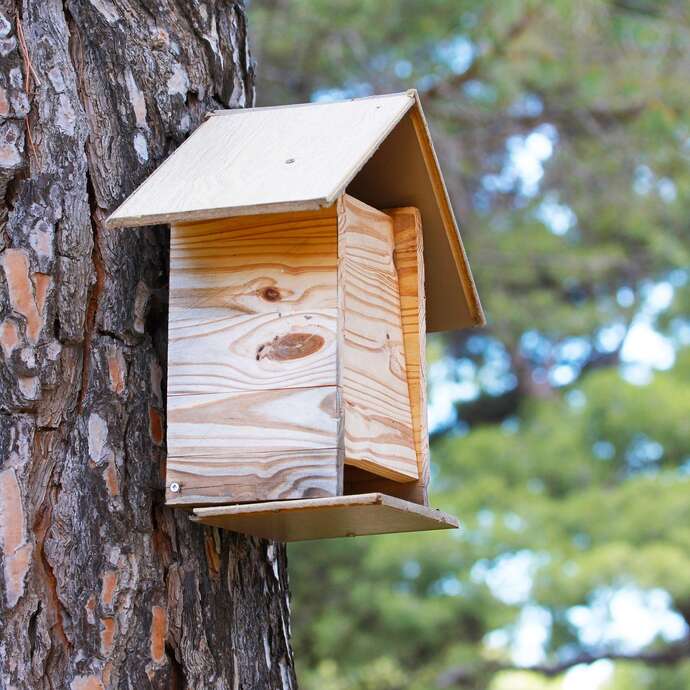 Fabrique ton nichoir