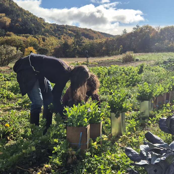 Visite et atelier cuisine aux jardins du Pas du Loup