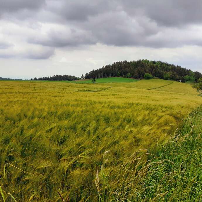 PR 103 - Chazelles-sur-Lavieu - Lézigneux