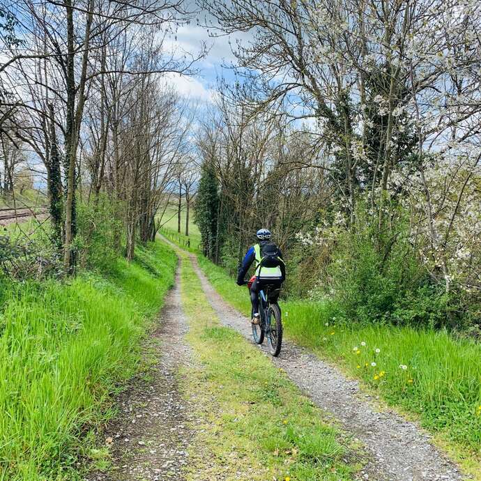 N°33 Les bords de Loire