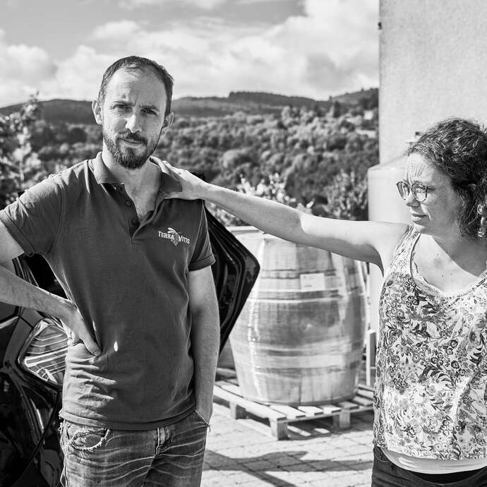 Domaine Reniteo - David Michelis