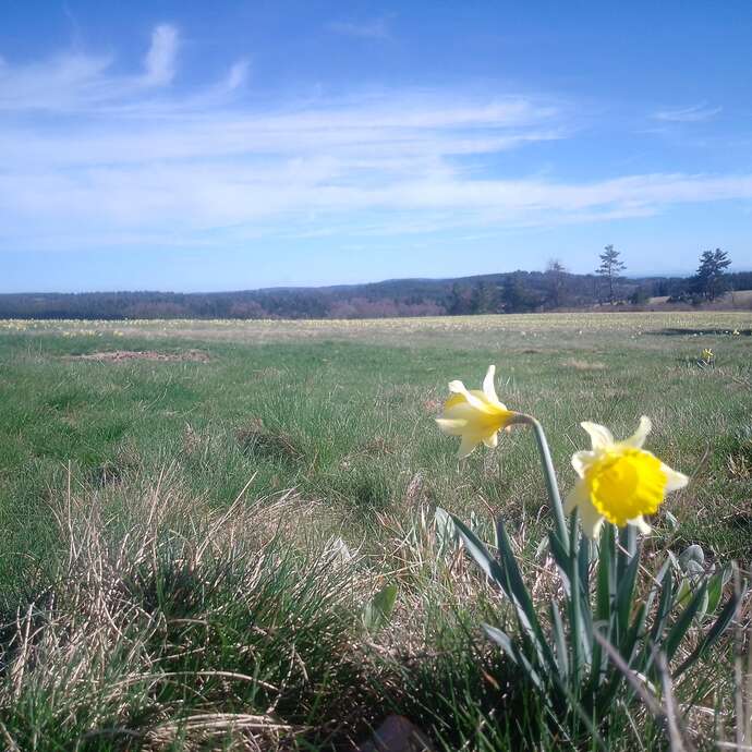 La nature au printemps, la vie reprend !