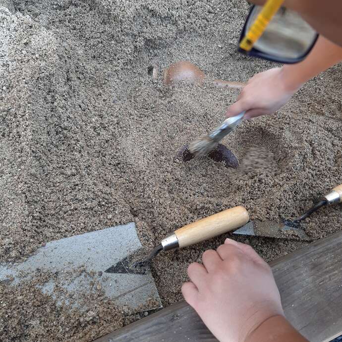 Atelier Fouilles archéologiques