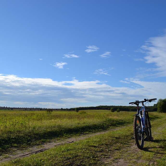 N°102 - Le chemin des seigneurs - Espace VTT Montbrison-Monts du Forez
